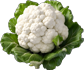 cauliflower pic