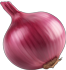 onion pic